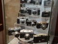 Tn dsc 6917